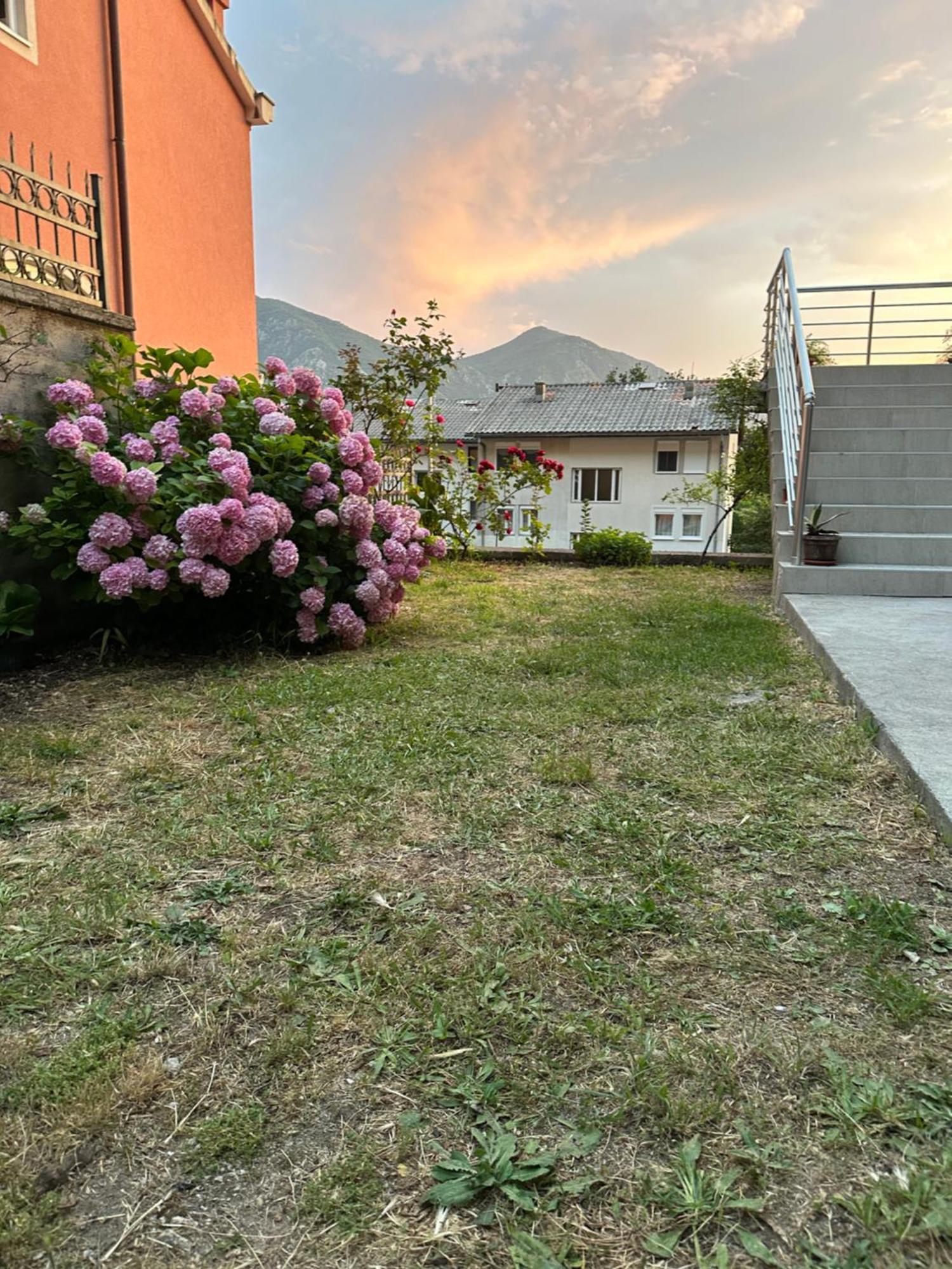 Sunny Apartment Kotor Exterior photo